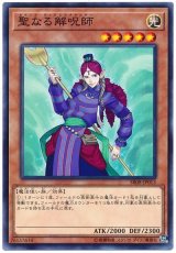 聖なる解呪師【スー】（Bランク）