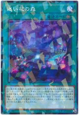 迷い花の森【パラ】（Bランク）