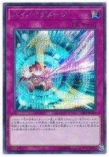 バイバイダメージ【シク】(Bランク)