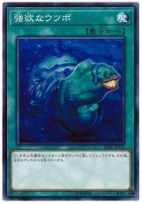 強欲なウツボ【ノー】