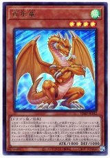 百年竜【ウル】（Bランク）