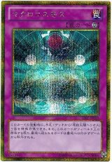 マクロコスモス【ゴルシク】