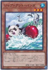 ジャブィアント・パンダ【ノー】