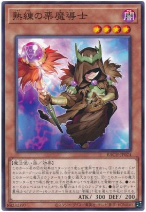画像1: 熟練の栗魔導士【ノー】