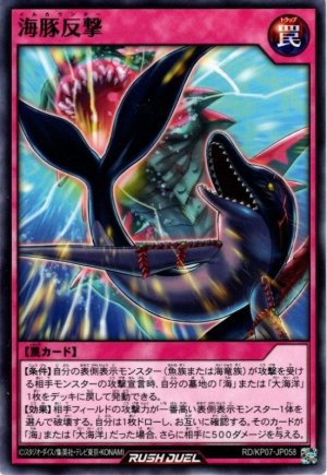 画像1: 海豚反撃【ノー】