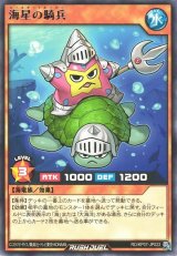 海星の騎兵【レア】