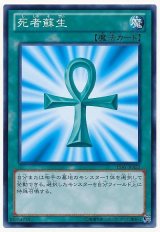 死者蘇生【ノー】