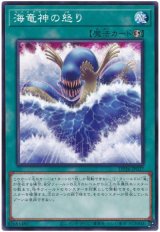海竜神の怒り【ノー】