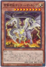 雷撃壊獣サンダー・ザ・キング【ノー】