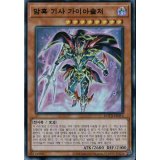 韓国版　暗黒騎士ガイアソルジャー【スー】
