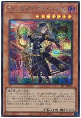 ウィッチクラフト・ハイネ【シク】