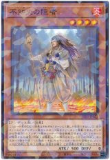 不知火の隠者【パラ】（Bランク）