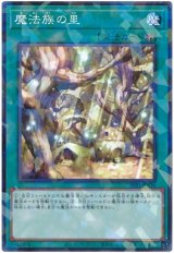 魔法族の里【パラ】（Bランク）