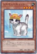 レスキューキャット【ノー】