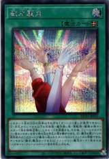 歌氷麗月【シク】（Bランク）