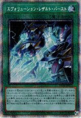 エヴォリューション・レザルト・バースト【プリシク】