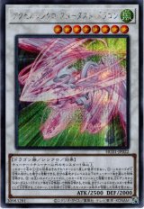 アクセルシンクロ・スターダスト・ドラゴン【シク】（Bランク）