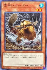 素早いビーバー【ノー】