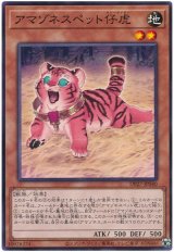 アマゾネスペット仔虎【ノー】