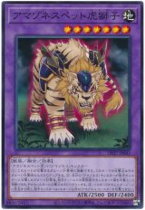 アマゾネスペット虎獅子【ノー】
