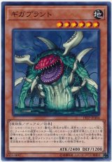 ギガプラント【ノー】（Ｂランク）