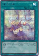 宝玉の絆【シク】（Bランク）