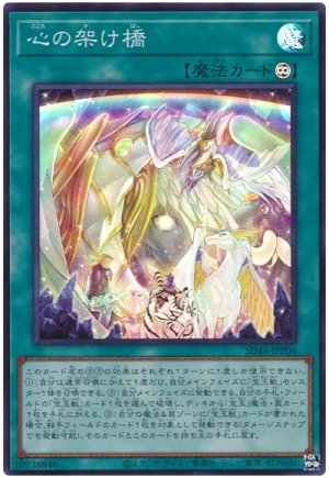 画像1: 心の架け橋【スー】（Bランク）