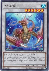 【コレレア】瑚之龍（Bランク）