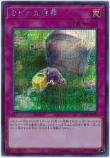 のどかな埋葬【シク】（Bランク）