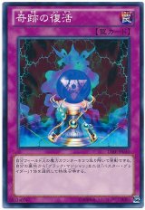 奇跡の復活【ノー】（Bランク）