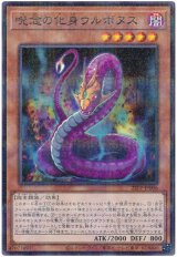呪念の化身ウルボヌス【パラ】（Bランク）