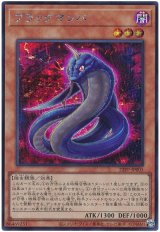 ブラックマンバ【シク】