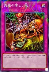 蟲惑の落とし穴【パラ】