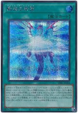最後の希望【シク】