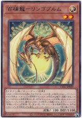 百檎龍-リンゴブルム【レア】