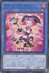 サイバース・セイジ