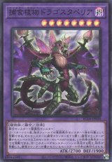 捕食植物ドラゴスタペリア【スー】（Bランク）