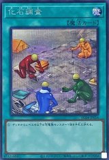 化石調査【シク】（Bランク）