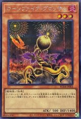 ローンファイア・ブロッサム【シク】
