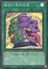 強欲で貪欲な壺【スー】