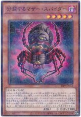 分裂するマザー・スパイダー【パラ】