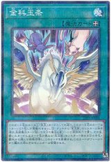 金科玉条【パラ】