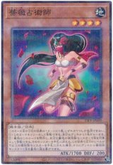 薔薇占術師【パラ】（Ｂランク）