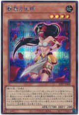 薔薇占術師【シク】