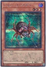ベビー・スパイダー【シク】