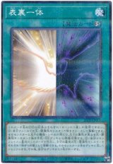 表裏一体【パラ】（Bランク）