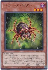 ベビー・スパイダー【ノー】