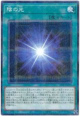 陰の光【パラ】
