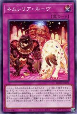 ネムレリア・ルーヴ【ノー】