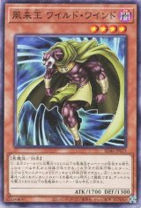 風来王 ワイルド・ワインド【ノー】